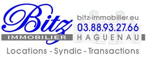 logo-bitz-immobilier